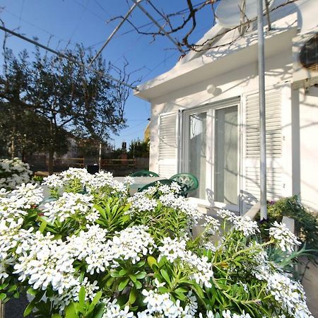 Apartman Antonio Zadar Dış mekan fotoğraf